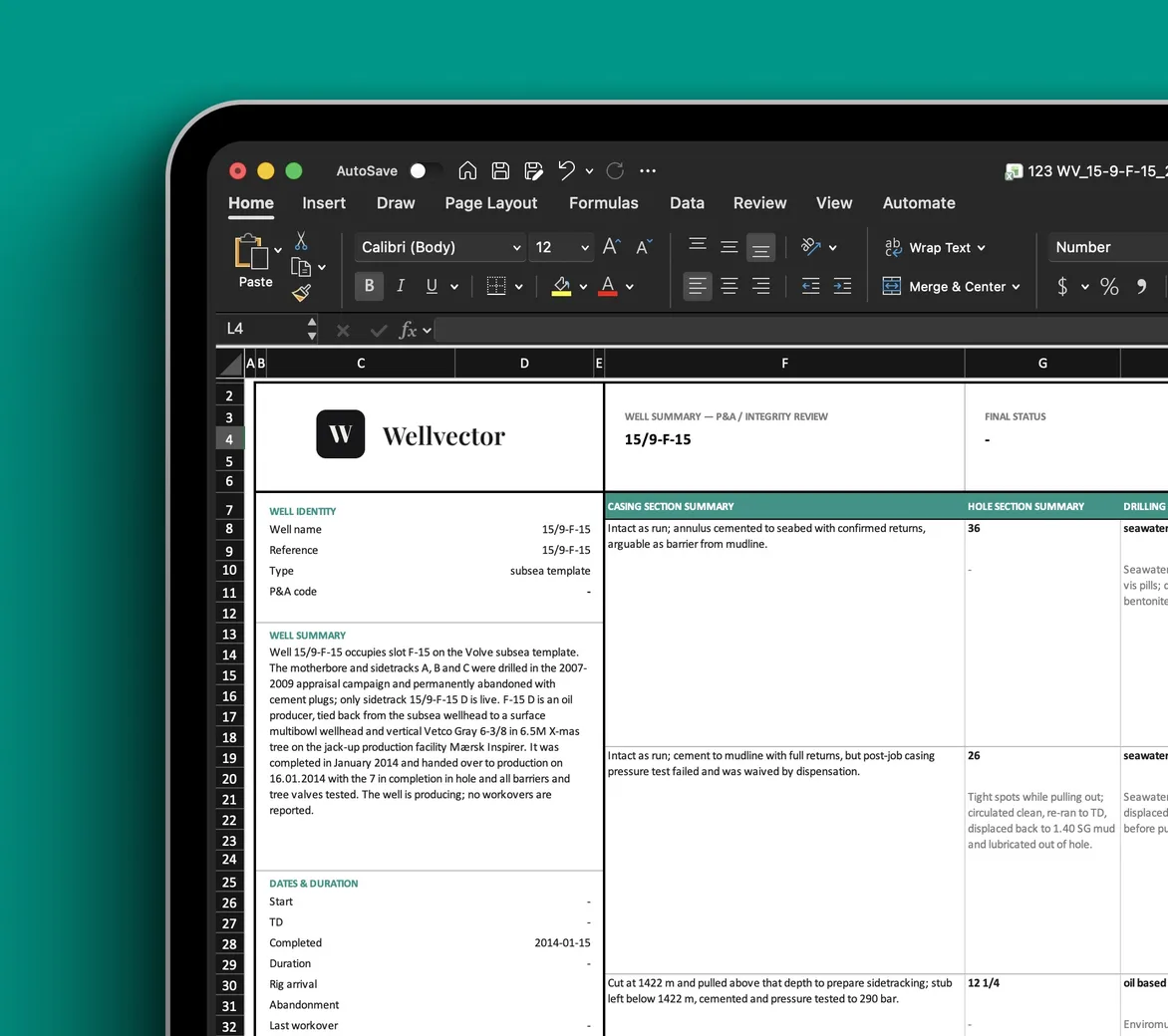 A well montage generated by Wellmine, opened in Microsoft Excel